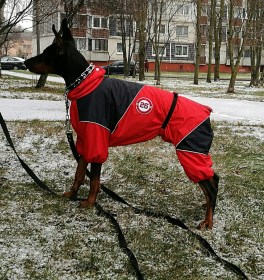 Aramis apģērbs suņiem. Ziemas suņu kombinezons-mētelis ar atstarotājiem, M